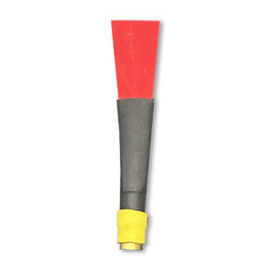 chanter reed
